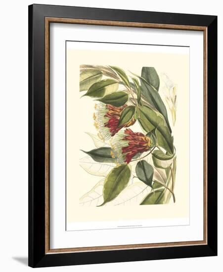 Fantastical Botanical II-Vision Studio-Framed Art Print