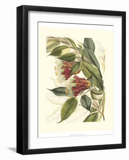 Fantastical Botanical II-Vision Studio-Framed Art Print