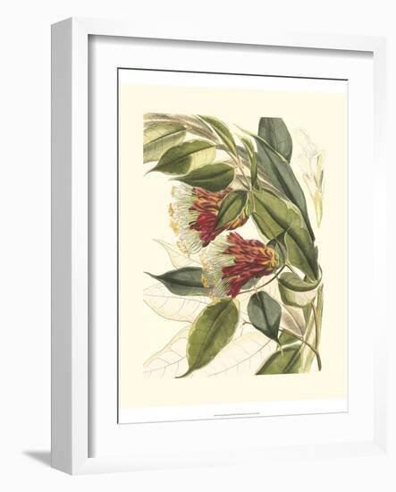 Fantastical Botanical II-Vision Studio-Framed Art Print