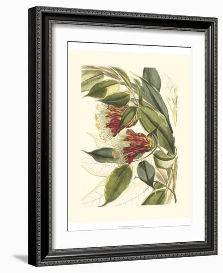 Fantastical Botanical II-Vision Studio-Framed Art Print