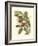 Fantastical Botanical II-Vision Studio-Framed Art Print