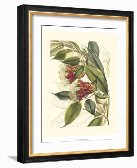 Fantastical Botanical II-Vision Studio-Framed Art Print