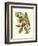 Fantastical Botanical II-Vision Studio-Framed Premium Giclee Print