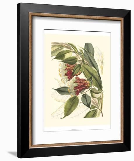 Fantastical Botanical II-Vision Studio-Framed Premium Giclee Print