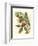 Fantastical Botanical II-Vision Studio-Framed Premium Giclee Print
