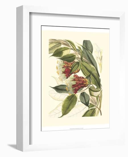 Fantastical Botanical II-Vision Studio-Framed Premium Giclee Print