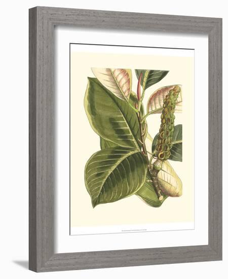 Fantastical Botanical IV-Vision Studio-Framed Art Print