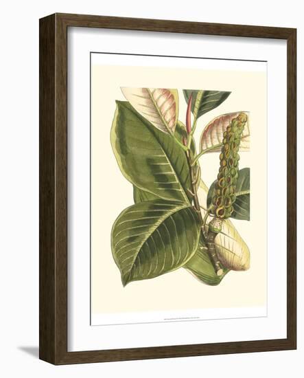Fantastical Botanical IV-Vision Studio-Framed Art Print
