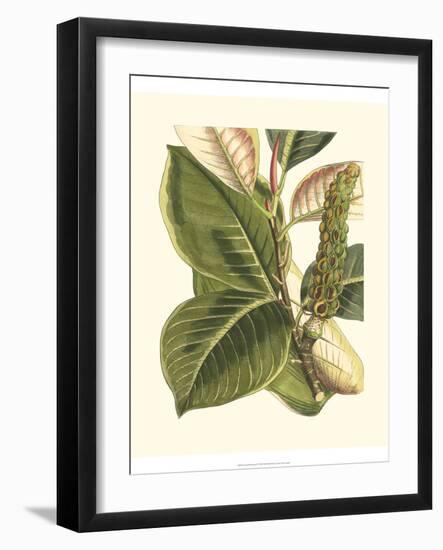 Fantastical Botanical IV-Vision Studio-Framed Art Print