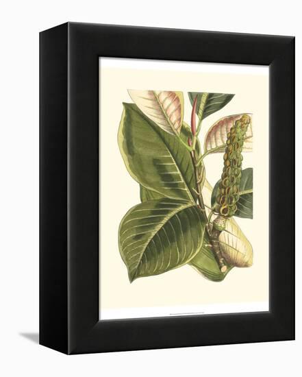 Fantastical Botanical IV-Vision Studio-Framed Stretched Canvas