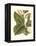 Fantastical Botanical IV-Vision Studio-Framed Stretched Canvas