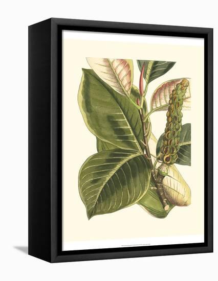 Fantastical Botanical IV-Vision Studio-Framed Stretched Canvas