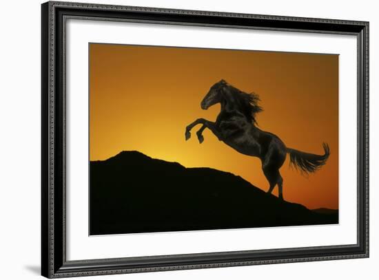 Fantasy Horses 01-Bob Langrish-Framed Photographic Print