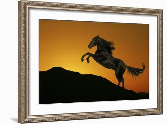 Fantasy Horses 01-Bob Langrish-Framed Photographic Print