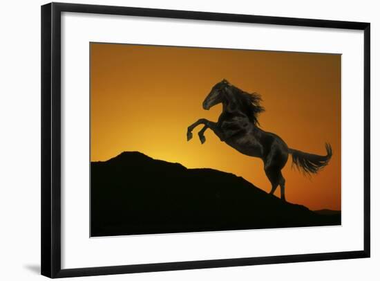 Fantasy Horses 01-Bob Langrish-Framed Photographic Print