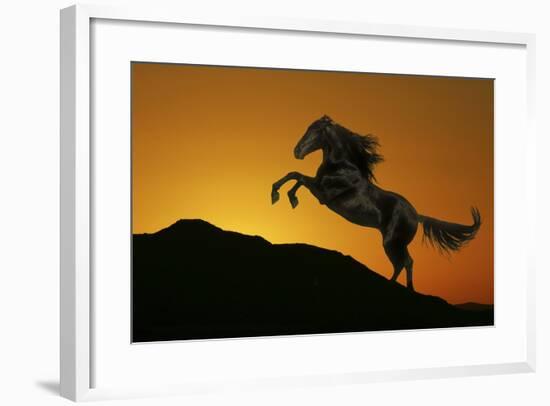 Fantasy Horses 01-Bob Langrish-Framed Photographic Print