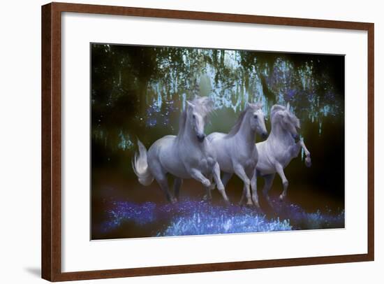 Fantasy Horses 05-Bob Langrish-Framed Photographic Print