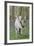 Fantasy Horses 06-Bob Langrish-Framed Photographic Print