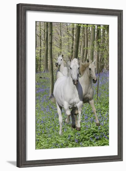 Fantasy Horses 06-Bob Langrish-Framed Photographic Print