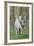 Fantasy Horses 06-Bob Langrish-Framed Photographic Print