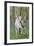 Fantasy Horses 06-Bob Langrish-Framed Photographic Print