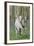 Fantasy Horses 06-Bob Langrish-Framed Photographic Print