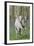 Fantasy Horses 06-Bob Langrish-Framed Photographic Print