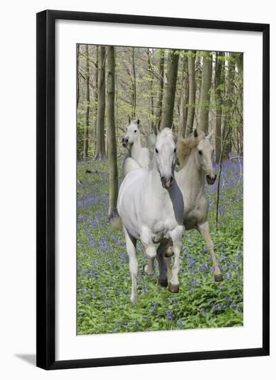 Fantasy Horses 06-Bob Langrish-Framed Photographic Print