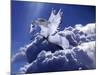 Fantasy Horses 18-Bob Langrish-Mounted Photographic Print
