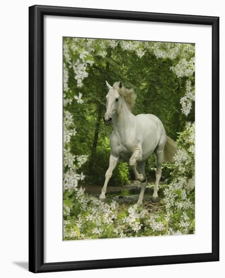 Fantasy Horses 23-Bob Langrish-Framed Photographic Print