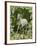 Fantasy Horses 23-Bob Langrish-Framed Photographic Print