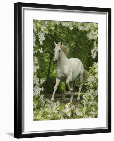 Fantasy Horses 23-Bob Langrish-Framed Photographic Print