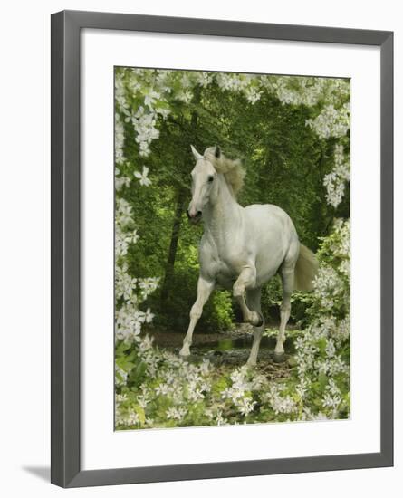 Fantasy Horses 23-Bob Langrish-Framed Photographic Print