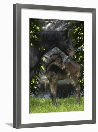 Fantasy Horses 29-Bob Langrish-Framed Photographic Print