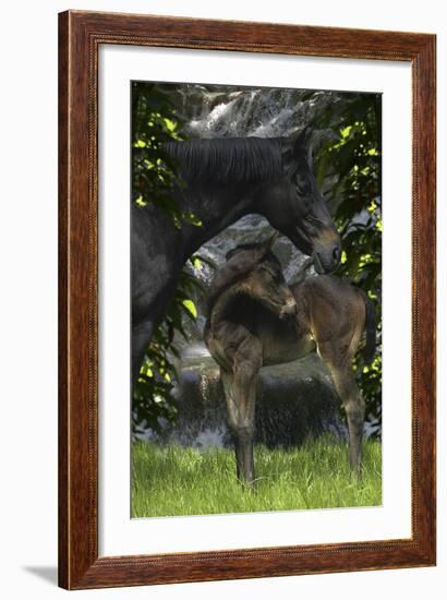 Fantasy Horses 29-Bob Langrish-Framed Photographic Print