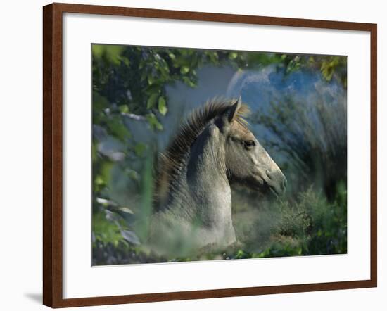 Fantasy Horses 30-Bob Langrish-Framed Photographic Print