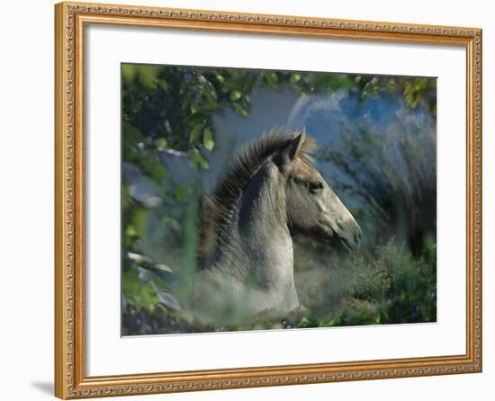 Fantasy Horses 30-Bob Langrish-Framed Photographic Print