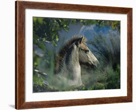 Fantasy Horses 30-Bob Langrish-Framed Photographic Print