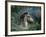 Fantasy Horses 30-Bob Langrish-Framed Photographic Print