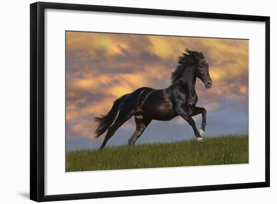 Fantasy Horses 40-Bob Langrish-Framed Photographic Print