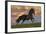 Fantasy Horses 40-Bob Langrish-Framed Photographic Print