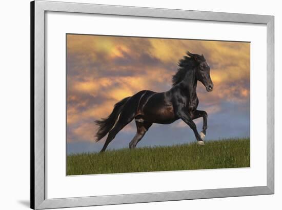 Fantasy Horses 40-Bob Langrish-Framed Photographic Print