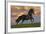 Fantasy Horses 40-Bob Langrish-Framed Photographic Print