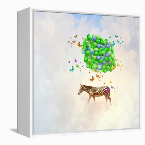 Fantasy Image of Zebra Flying in Sky on Bunch of Colorful Balloons-Sergey Nivens-Framed Premier Image Canvas