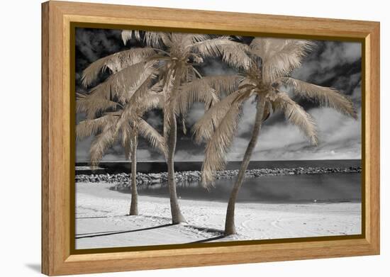 Fantasy Island-Mike Jones-Framed Stretched Canvas