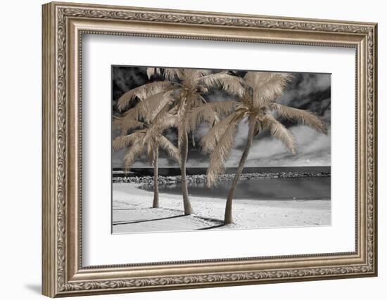 Fantasy Island-Mike Jones-Framed Photo