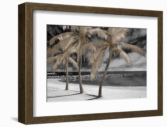 Fantasy Island-Mike Jones-Framed Photo