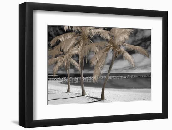 Fantasy Island-Mike Jones-Framed Photo