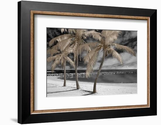 Fantasy Island-Mike Jones-Framed Photo