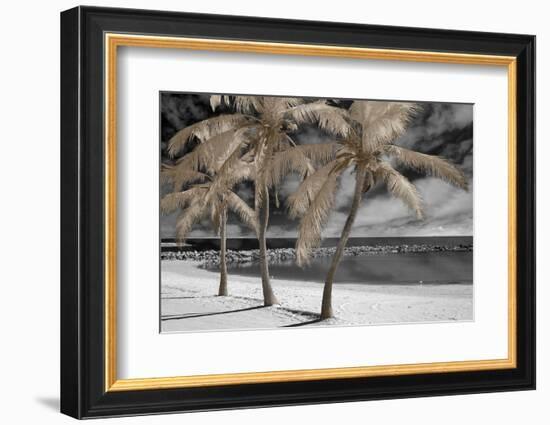 Fantasy Island-Mike Jones-Framed Photo